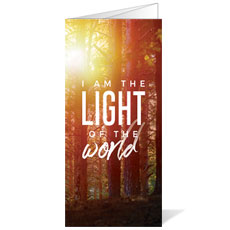 Light of the World Forest 