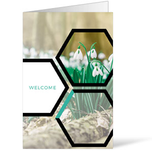 Welcome Hexagon Spring Bulletins 8.5 x 11