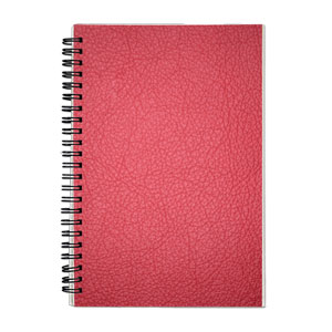 Red Leather Pattern Bible Study SOAP Journal & Planner