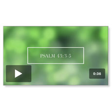Psalms 43:3-5 Scripture 